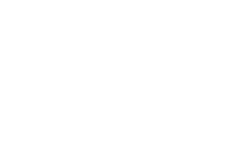 Bella Buns Logo